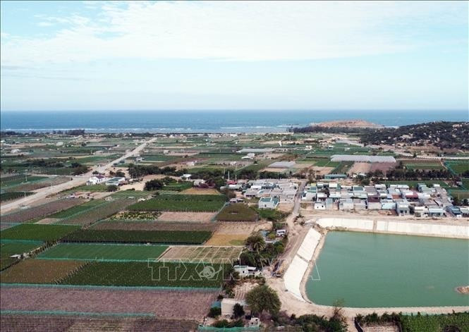 The area planned to build the Ninh Thuan 2 nuclear power plant in Ninh Hai district, Ninh Thuan province. (Photo: VNA)