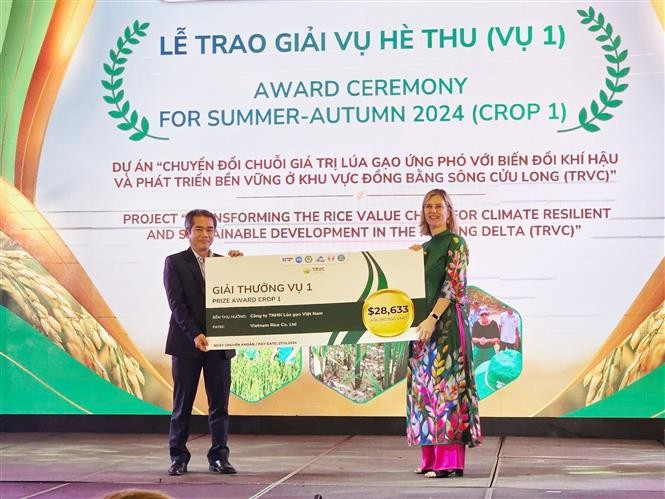 Christie Getman, SNV Country Director, hands over the reward to a company. (Photo: VNA)