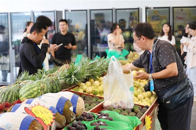 Many types of Vietnamese fruits such as durian, passion fruit are sold at the Youyi Guan, China. (Photo: VNA)