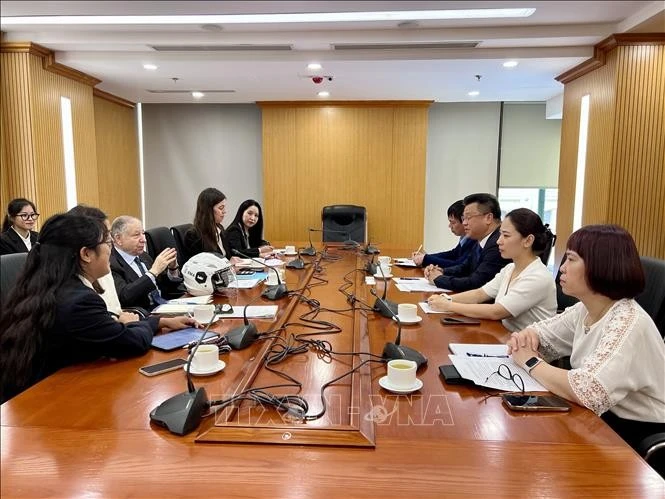 During the working session (Photo: VNA)