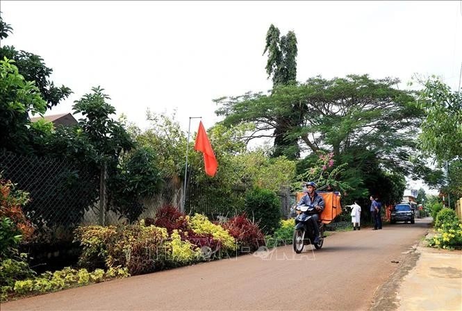 Model new-style rural appearance in Xuan Dinh commune, Xuan Loc district, Dong Nai province. (Photo: VNA)