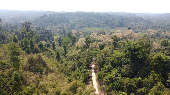 A view of the Dong Nai Cultural and Natural Reserve (Photo: VNA)
