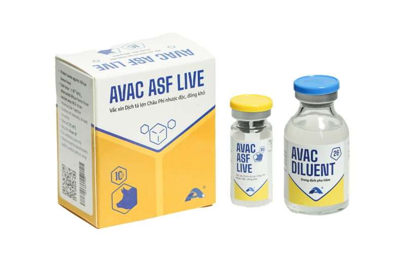 AVAC Vietnam JSC exports the first batch of AVAC ASF LIVE vaccine to Indonesia on June 9. (Photo: avac.com.vn) 