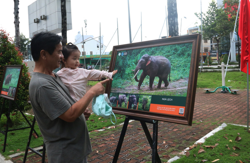 Residents of Dong Nai province visit the exhibition on Vietnam's elephants. (Photo: VNA)