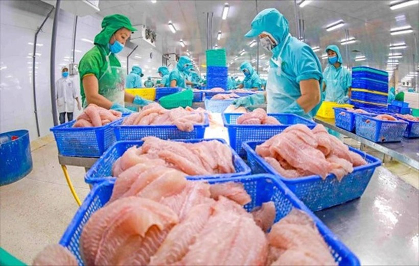Workers process tra fish for export. (Photo: VietnamPlus)