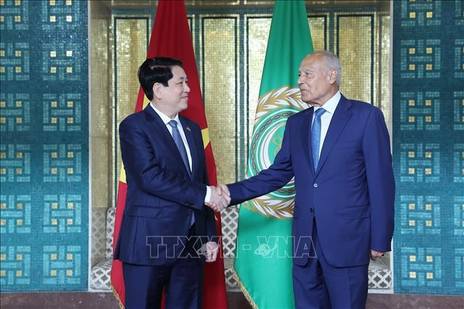 State President Luong Cuong (L) meets with Secretary-General of the Arab League Ahmed Aboul Gheit in Cairo on August 4. (Photo: VNA)