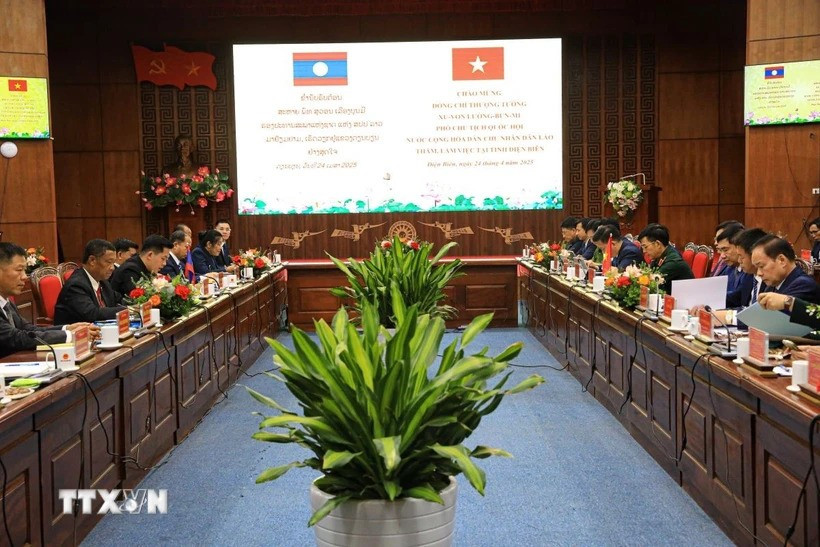 At the working session (Photo: VNA)