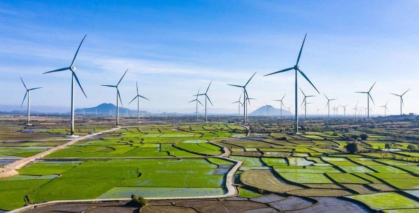 Illustrative image (Photo: VNA)