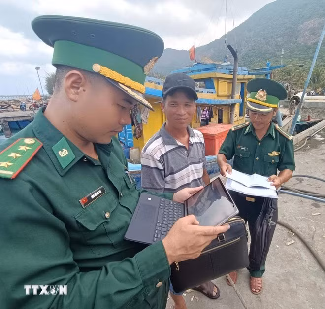An officer of Con Dao Border Guard Station checks documents and status of fishing vessels on the national database at Ben Dam port, Con Dao special zone. (Photo: VNA)