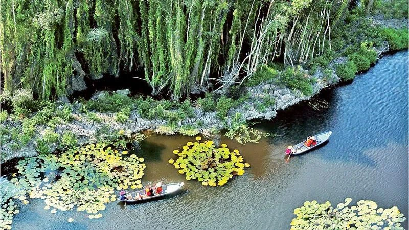 Tourists visit the cajuput forest in Dong Thap Muoi in Long An province (Source: nhandan.vn)