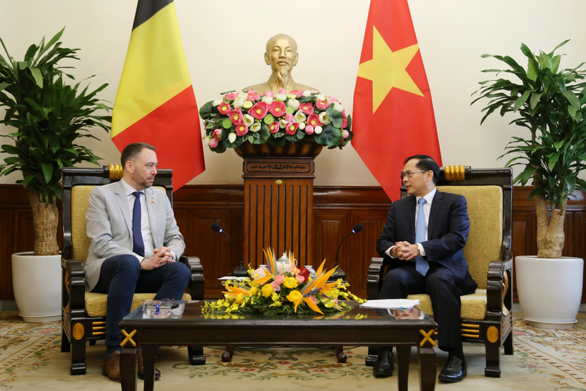 Deputy Prime Minister and Minister of Foreign Affairs Bui Thanh Son (R) and Belgian Deputy Prime Minister and Minister of Foreign Affairs, European Affairs, and Development Cooperation Maxime Prevot at their meeting in Hanoi on March 31 (Photo: VNA)