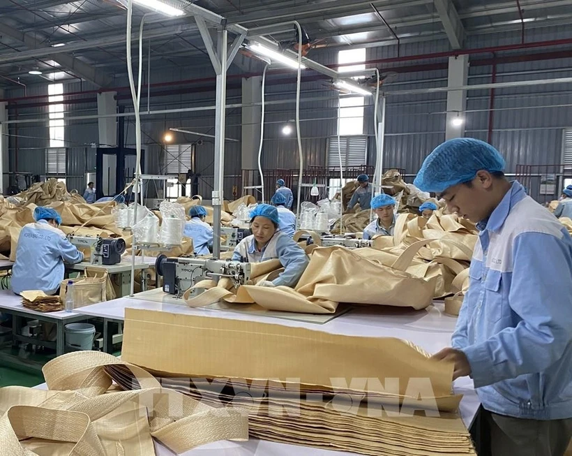 Producing packaging materials for export in Tuyen Quang (Photo: VNA)