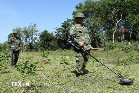 Clearing UXO in central Quang Tri province (Photo: VNA)