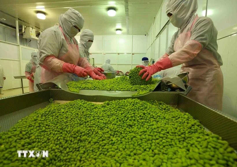 Workers process soybean products for export at a factory of An Giang Food and Vegetables Joint Stock Company in An Giang province (Photo: VNA)