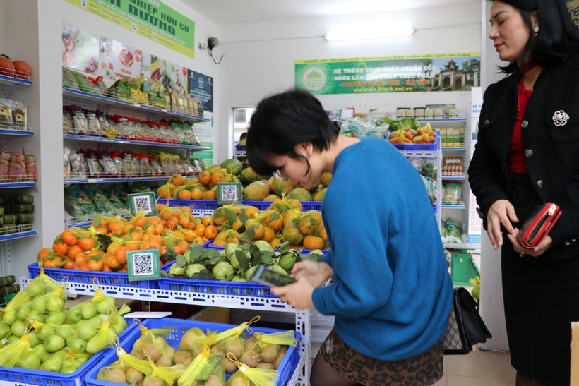 The CPI in June rose by 0.48% compared to the previous month. (Illustrative photo: VNA)