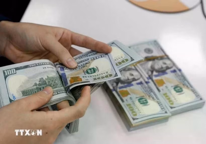 The State Bank of Vietnam sets the daily reference exchange rate at 25,048 VND on June 27 (Photo: VNA)