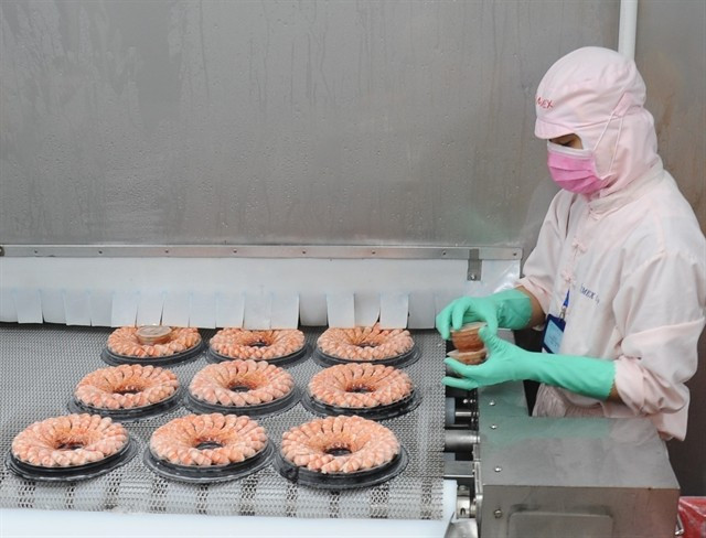 Processing shrimp for export. (Photo: VNA)