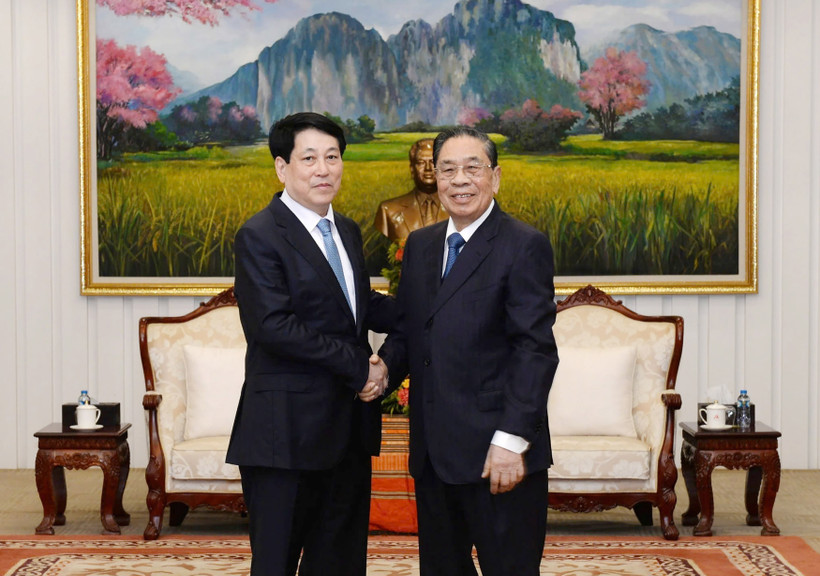 State President Luong Cuong (L) meets former Party General Secretary and President of Laos Choummaly Sayasone. (Photo: VNA)