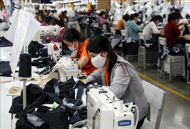 Producing apparel for export at a factory in Nam Dinh province (Photo: VNA)