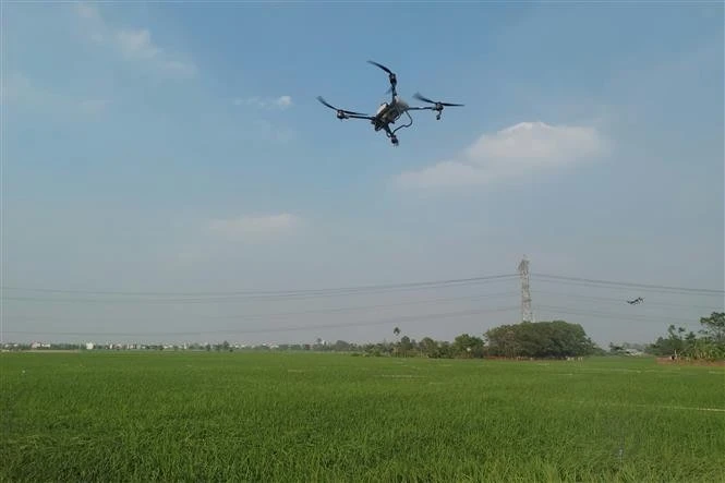 A drone used for pesticide spraying in agriculture (Photo: VNA)