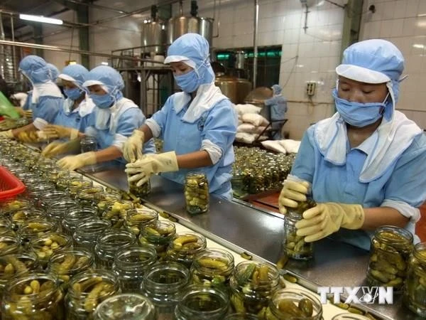 Workers process agricultural products for export. (Photo: VNA)