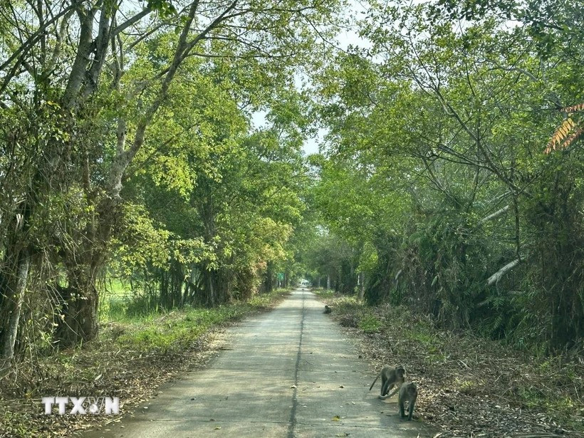 On the road to the U Minh Thuong National Park (Photo: VNA)