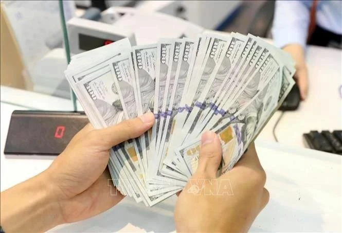 Reference exchange rate continues going up on February 27 (Photo: VNA)