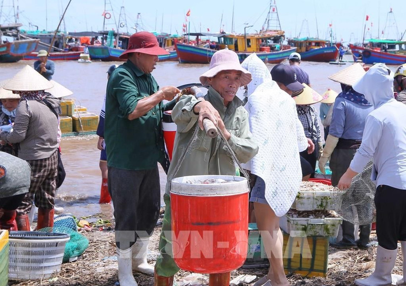 People transport purchased seafood ashore to sell at Giao Hai Fish Market in Giao Phuc commune (Photo: VNA)