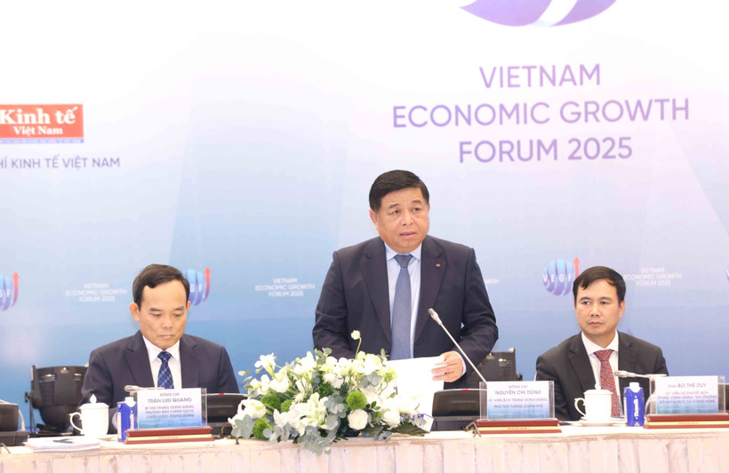 Deputy Prime Minister Nguyen Chi Dung speaks at the forum. (Photo: VNA)