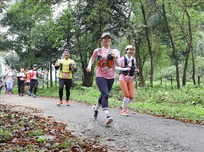 Runners joining in Cuc Phuong Jungle Paths 2025 (Photo: VNA)