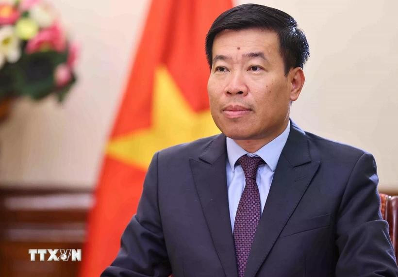 Vietnamese Deputy Minister of Foreign Affairs Nguyen Manh Cuong (Photo: VNA)