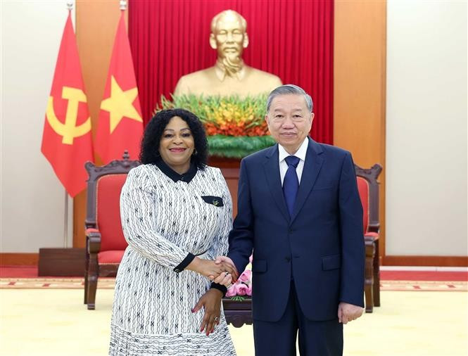 Party General Secretary To Lam (R) and First Deputy Secretary General of South Africa's African National Congress (ANC) Nomvula Mokonyane at their meeting on May 20 in Hanoi. (Photo: VNA)