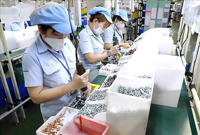 Workers at a foreign factory in HCM City. (Photo: VNA)