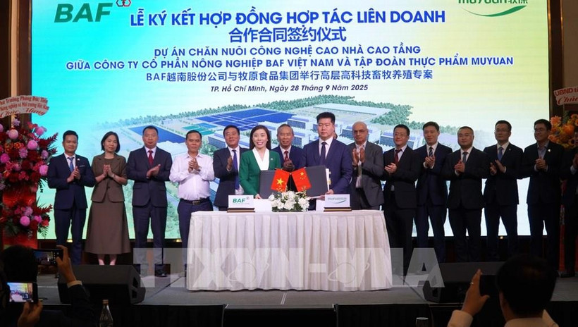 At the signing ceremony between BAF Vietnam Agriculture Joint Stock Company and China’s Muyuan Foods Co. Ltd in Ho Chi Minh City on September 28. (Photo: VNA)