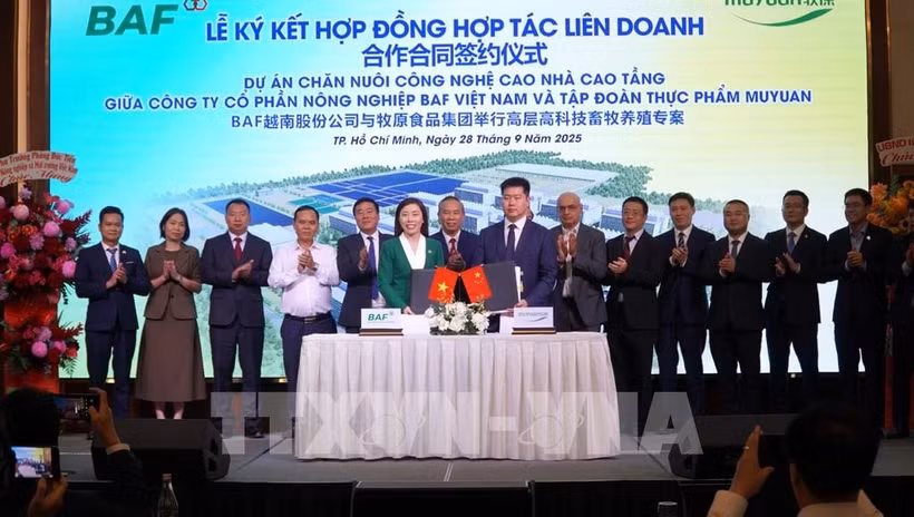 At the signing ceremony between BAF Vietnam Agriculture Joint Stock Company and China’s Muyuan Foods Co. Ltd in Ho Chi Minh City on September 28. (Photo: VNA)
