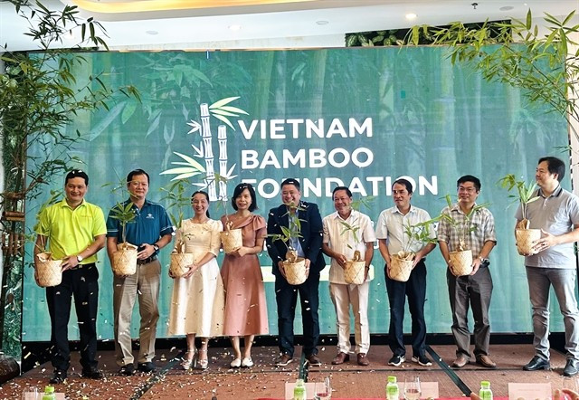 The Vietnam Bamboo Foundation is officially launched on August 2 in HCM City, alongside its initiative “Luy Tre Lang” (Bamboo Village). (Photo: VNA)