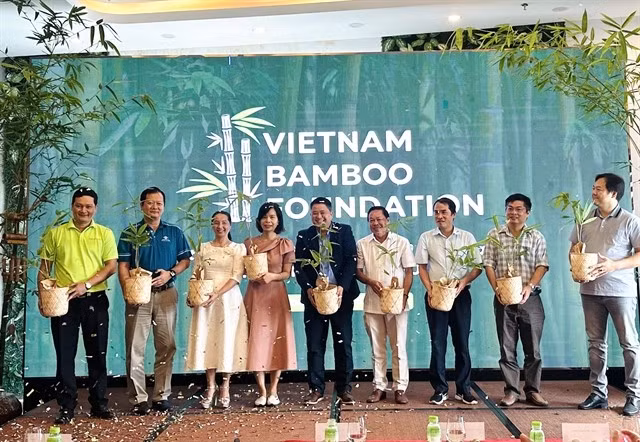 The Vietnam Bamboo Foundation is officially launched on August 2 in HCM City, alongside its initiative “Luy Tre Lang” (Bamboo Village). (Photo: VNA)