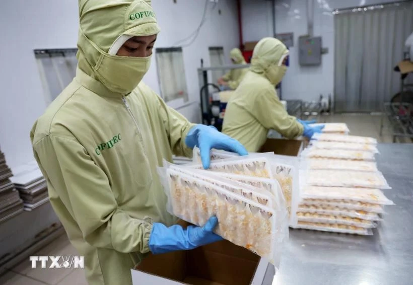 Photo: Packaging processed shrimp products for export. (Photo: VNA)