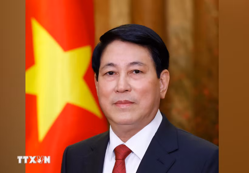 State President Luong Cuong (Photo: VNA)