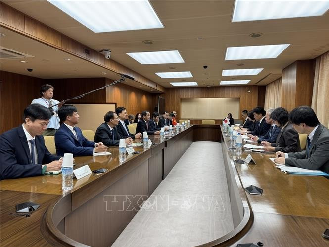 At the sixth Vietnam - Japan high-level agricultural cooperation dialogue (Photo: VNA)