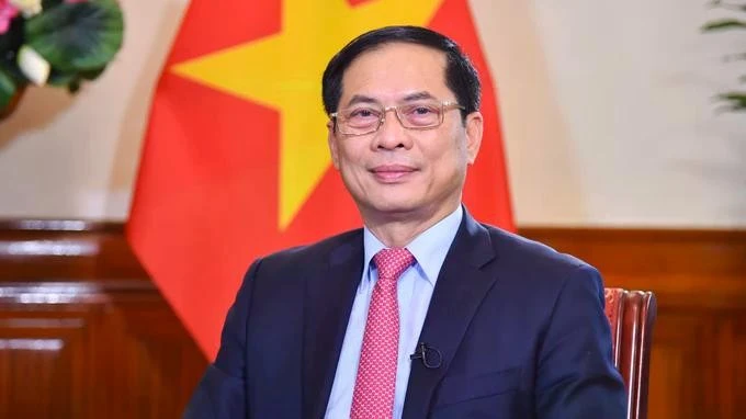 Deputy Prime Minister and Foreign Minister Bui Thanh Son (Photo: VNA)