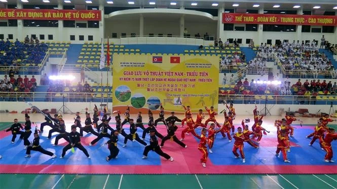 A performance of traditional Vietnamese martial arts at the exchange programme. (Photo: VNA)