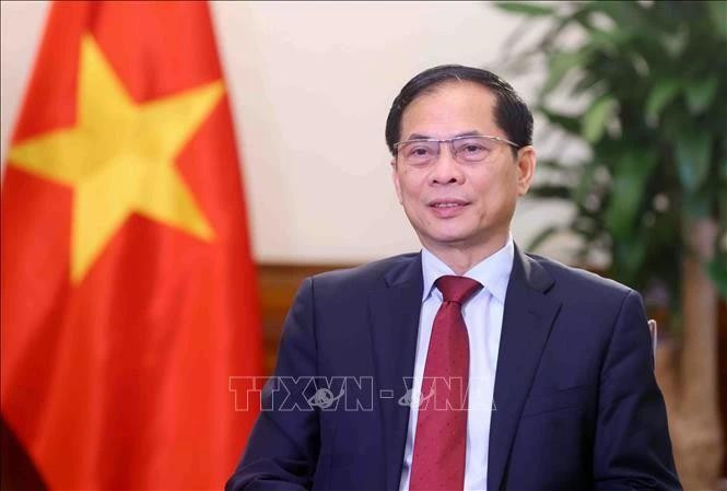 Vietnamese Deputy Prime Minister and Minister of Foreign Affairs Bui Thanh Son (Photo: VNA)