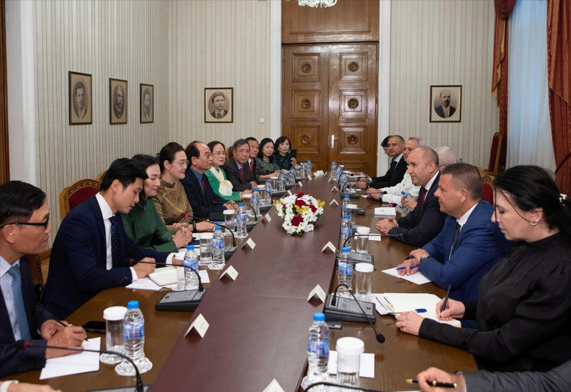The meeting between Bulgarian President Rumen Radev and the Vietnamese delegation in Sofia on June 4. (Photo: VNA)