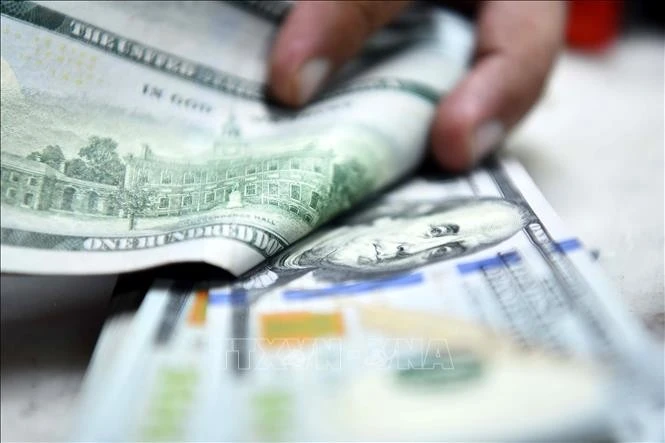 The daily reference exchange rate for the US dollar is set at 24,336 VND/USD on January 21. (Photo: VNA)