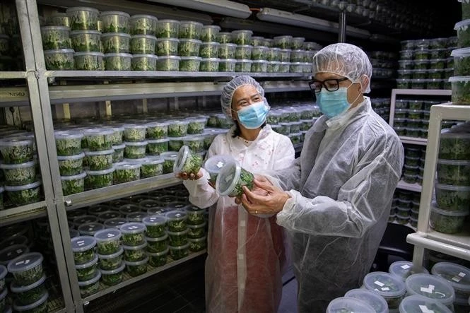 Seminar participants visit a laboratory of an Israeli agricultural company. (Photo: VNA) 