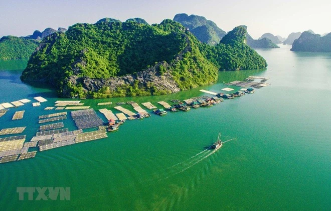 A floating fishing farm in Cat Ba island district in the northern city of Hai Phong. (Photo: VNA) 