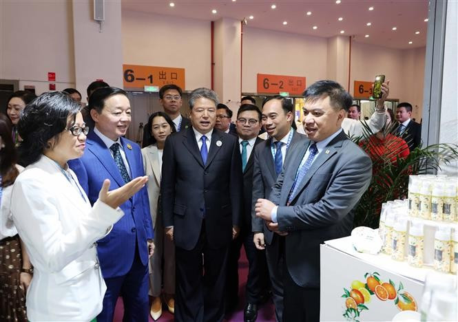 Deputy Prime Minister Tran Hong Ha (second from left) visits a booth of Vietnam at the 9th China-South Asia Expo and the 29th Kunming Import and Export Fair. (Photo: VNA)
