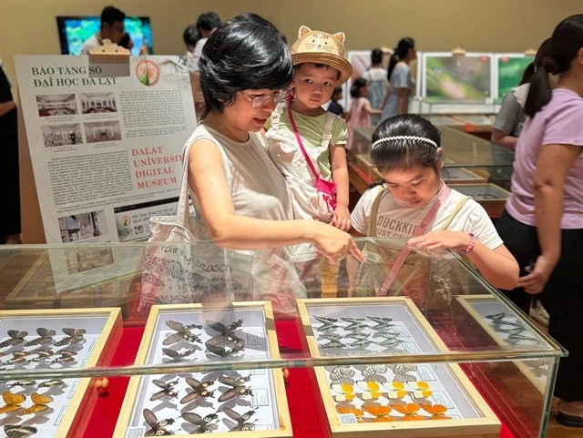 Visitors flock to see rare insect specimens at the Da dang sac mau con trung Vietnam (The Diversity of Vietnamese Insects) exhibition at the Da Nang Museum. (Photo: nld.vn)