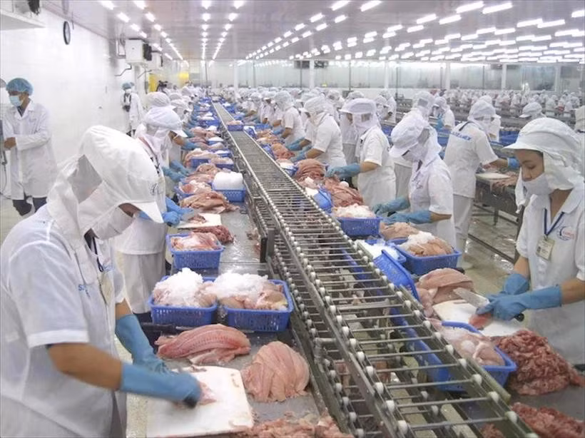 Seafood processing for export (Photo: VietnamPlus)